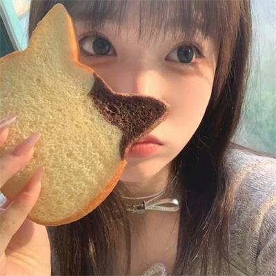 布里斯比熊